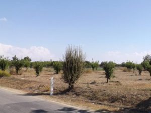 10357126_10100123013354821_3851229512672234337_n_10100123013354821