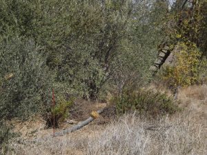 10447612_10100123013544441_5490575412831101700_n_10100123013544441