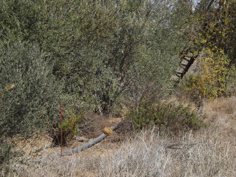 10447612_10100123013544441_5490575412831101700_n_10100123013544441