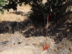 10672378_10100123013464601_2723737802712761019_n_10100123013464601