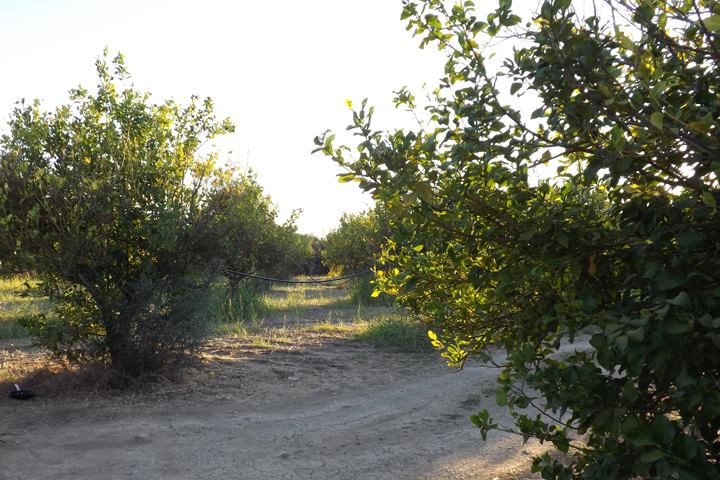 1653601_944137047401_2022210162_n_944137047401