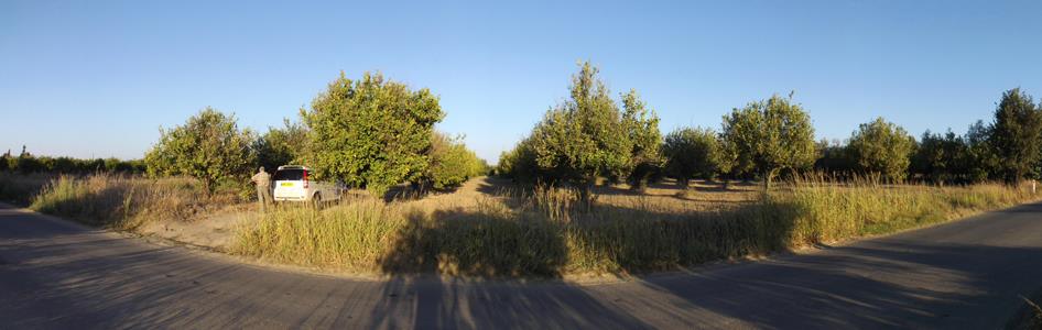 1779916_944136937621_1545209974_n_944136937621