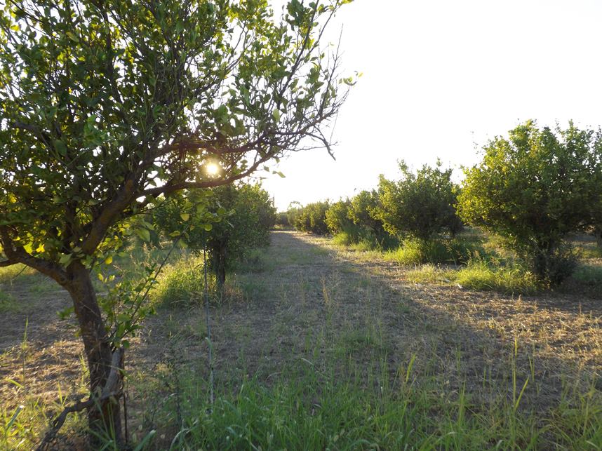 1796453_944137012471_1572928064_n_944137012471