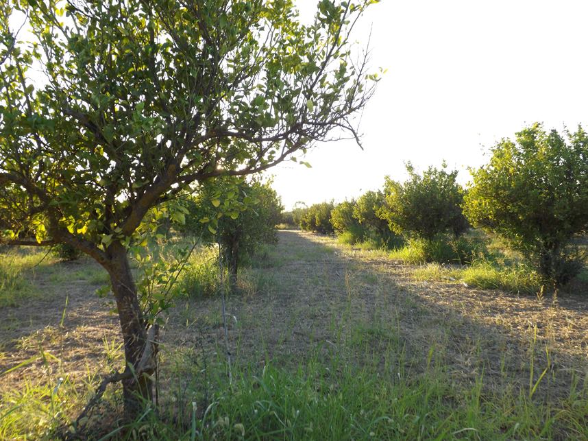 1798458_944137177141_672530440_n_944137177141