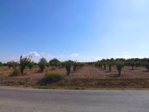 1896739_10100123013589351_2069120589461639698_n_10100123013589351