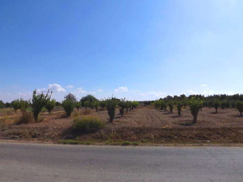 1896739_10100123013589351_2069120589461639698_n_10100123013589351