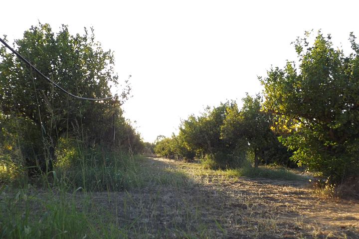 1898269_944137097301_2084790360_n_944137097301