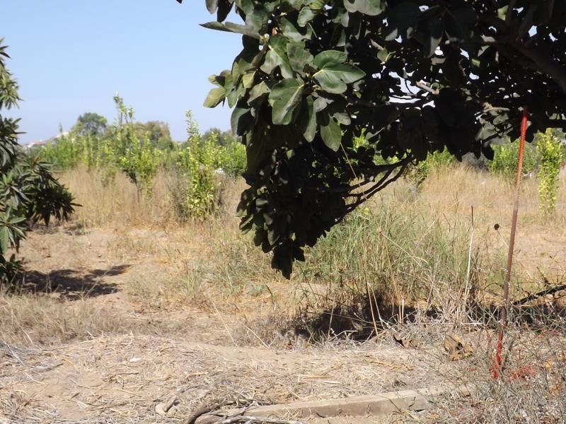 1962841_10100123013564401_1465646625364389379_n_10100123013564401