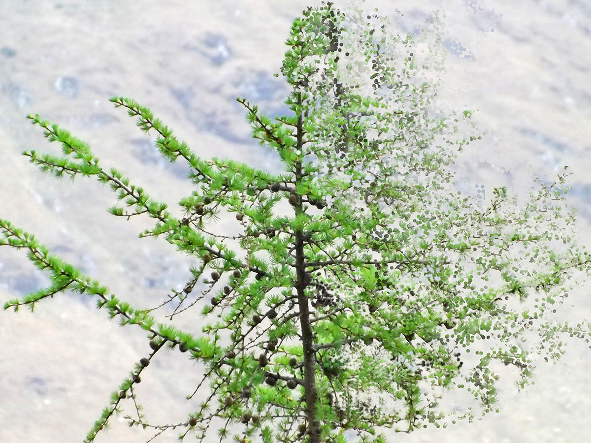 7b-Outlandia Residency