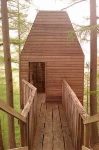 946888_841139615081_444297741_n