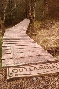 971396_841139350611_1770703399_n